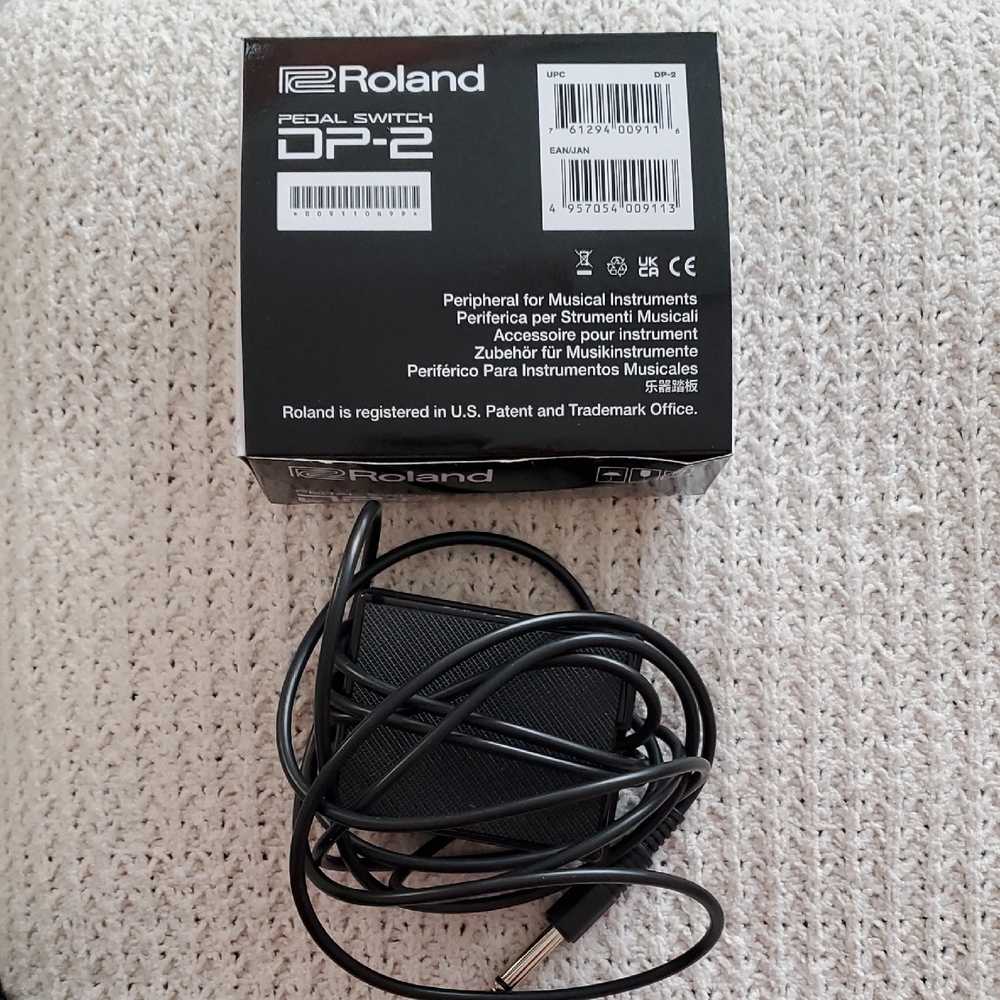 Roland DP-2 Black Pedal Switch